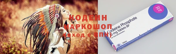 ПСИЛОЦИБИНОВЫЕ ГРИБЫ Тавда