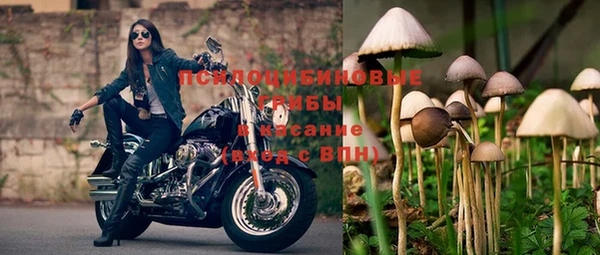 мдма Медногорск