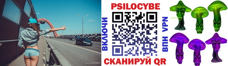 Псилоцибиновые грибы ЛСД  даркнет сайт  Геленджик 