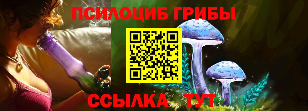 наркошоп  Галлюциногенные грибы ЛСД  Вход с VPN  Псилоцибиновые грибы Psilocybine cubensis  Геленджик 