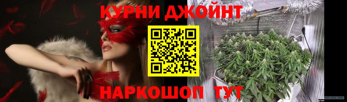 ГАШ Геленджик